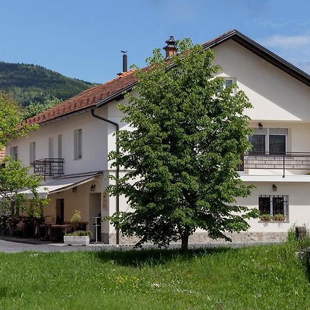 Guesthouse & Apartments Pri Stani Zerovnica Luaran gambar