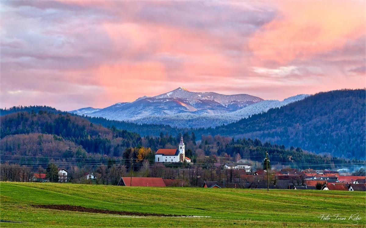 Guesthouse & Apartments Pri Stani Zerovnica Luaran gambar